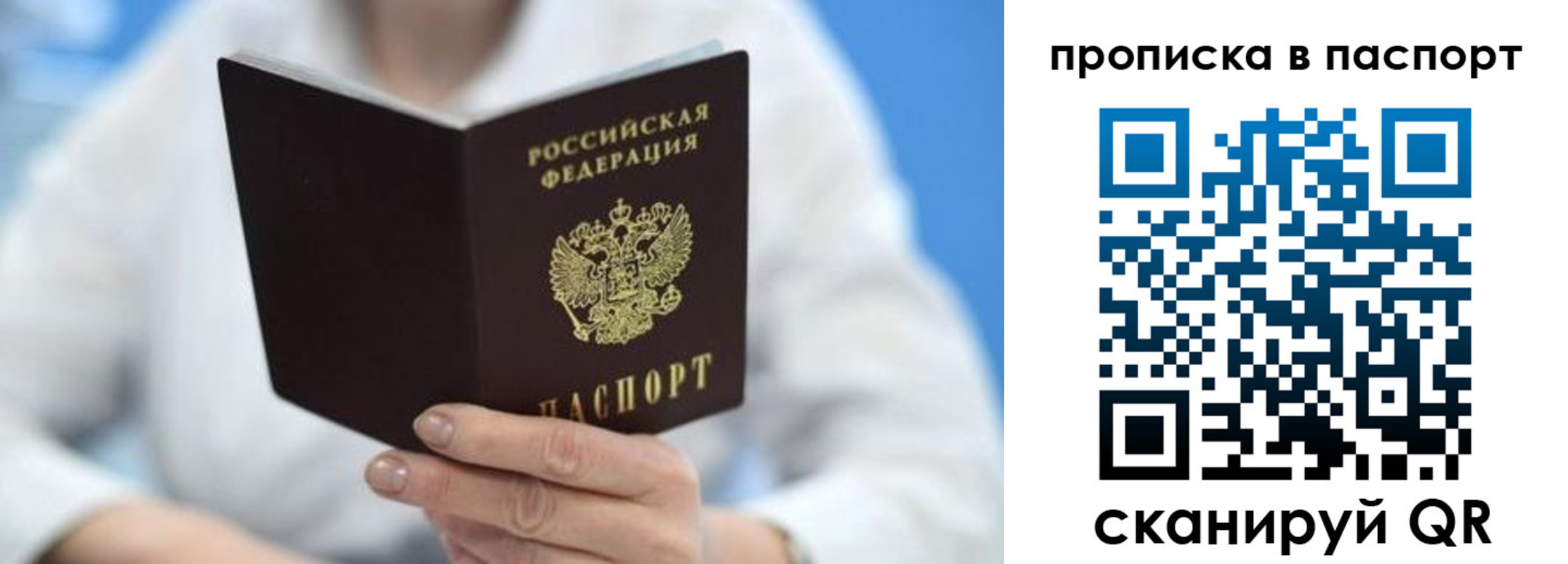 прописка поиск в Красногорске