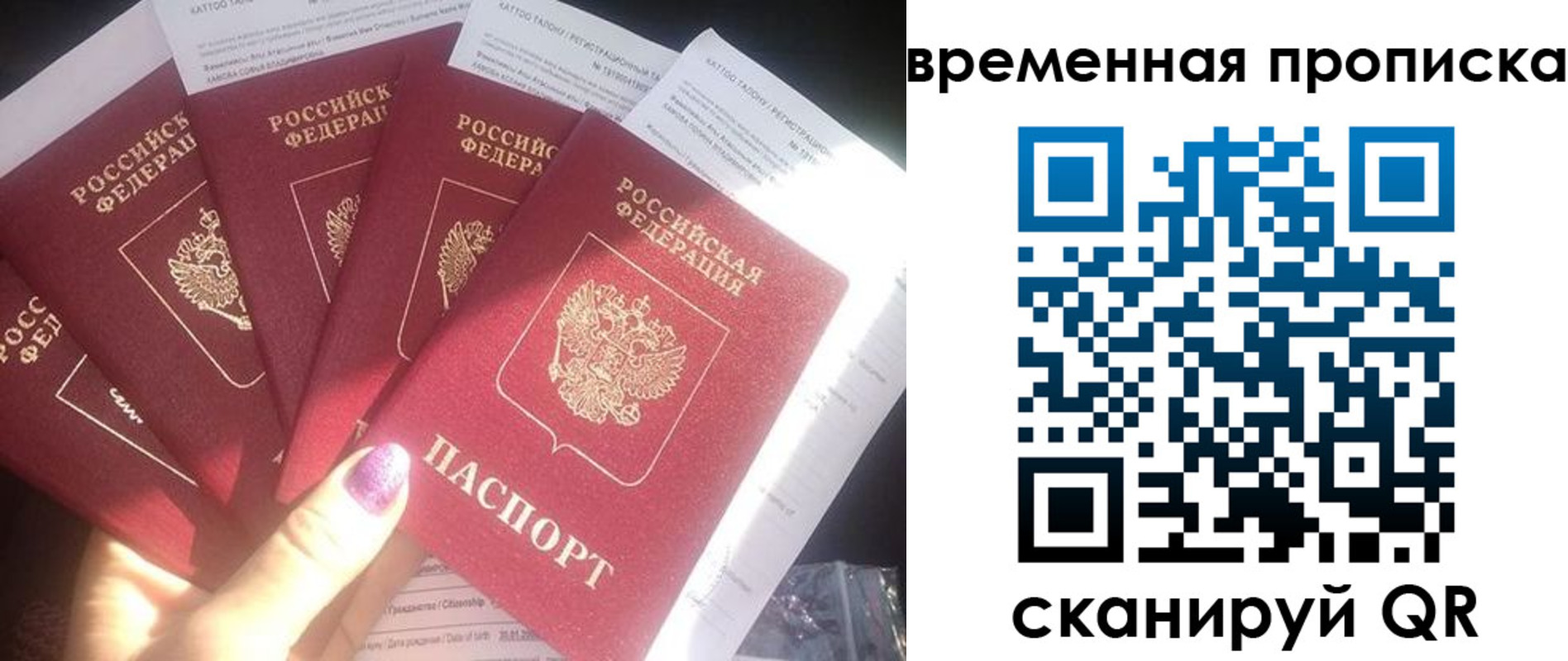 прописка для работы в Красногорске